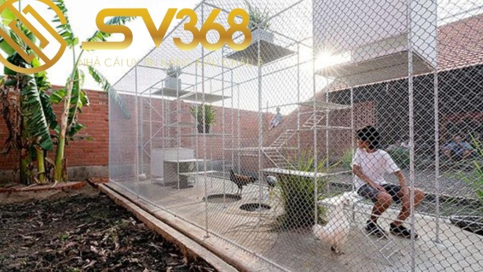 Hướng dẫn cách làm chuồng bay cho gà đá siêu đẹp tại SV368 3 Cách làm chuồng bay cho gà đá