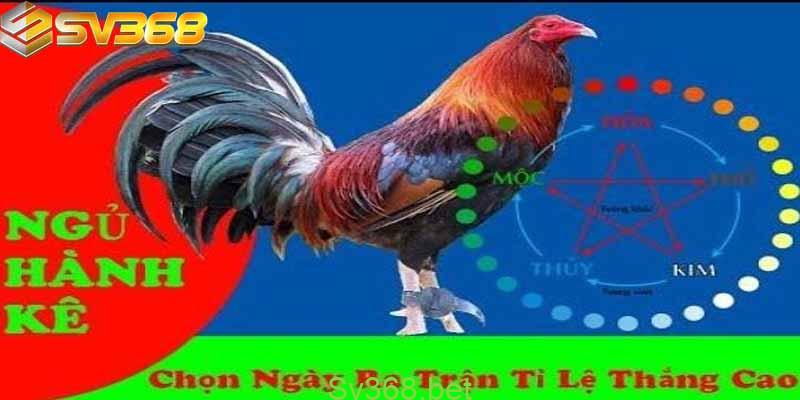 Cách xem ngày gà đá tại Campuchia - Dự tính ngày đá chuẩn 3 Một vài câu hỏi về cách xem ngày gà đá