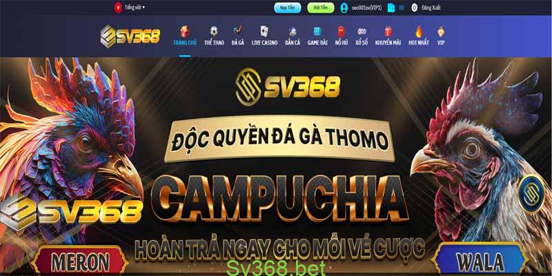 Đá gà cựa tròn Thái Lan hấp dẫn kịch tính tại nhà cái Sv368 2 Sau khi đã tìm hiểu về cựa gà và hiểu rõ thì tiếp theo chúng ta cùng tìm hiểu ngay và giống gà cựa tròn nhé.
