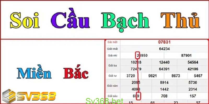 Hướng dẫn cách soi cầu lô bạch thủ 8785 chuẩn nhất 1 Tìm hiểu thông tin về soi cầu lô bạch thủ 8785