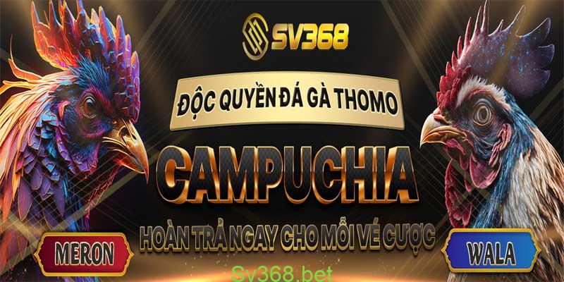 Đá gà sv368 - Trang giải trí đá gà uy tín năm 2024 4 Đá gà sv368