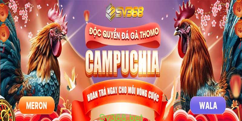 Đá gà sv368 - Trang giải trí đá gà uy tín năm 2024 5 Đá gà sv368