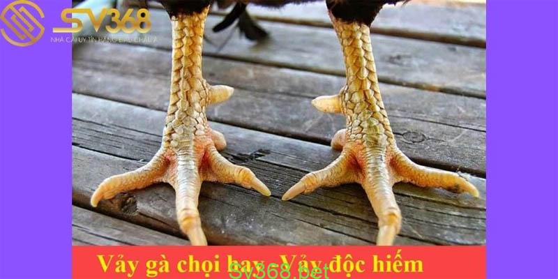 Những kinh nghiệm xem vảy gà chọi độc từ các sư kê Sv368 1 Trước tiên, SV368 sẽ tổ hợp cho bạn những thông tin về vảy gà chọi độc cho bạn tham khảo và học hỏi thêm như sau: